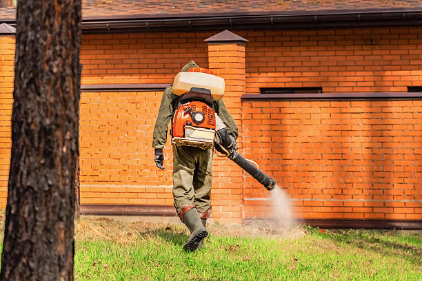 Bed Bug Clearance Verification and Documentation in Elk Grove Village